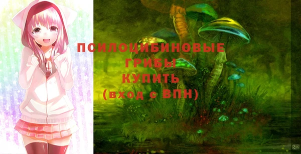 a pvp Вязники