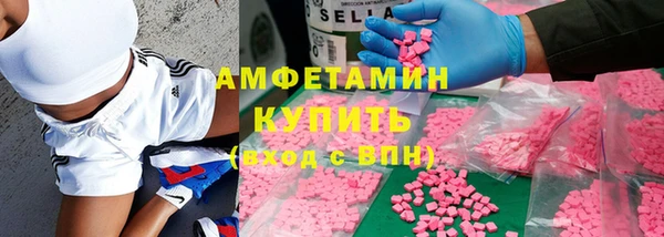 ECSTASY Горняк