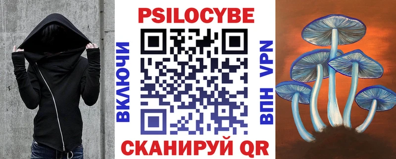 Купить где  Нижнеудинск  Галлюциногенные грибы Cubensis 