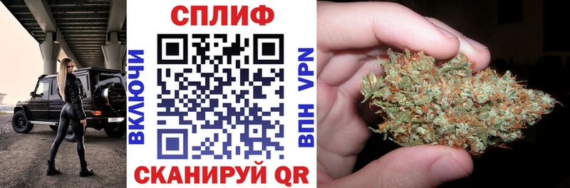 Купить где  Нижнеудинск  Бошки марихуана ГИДРОПОН 